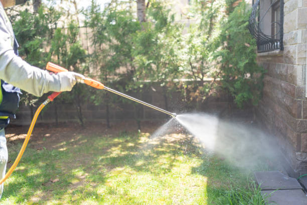 Bird Control in Bowmanstown, PA